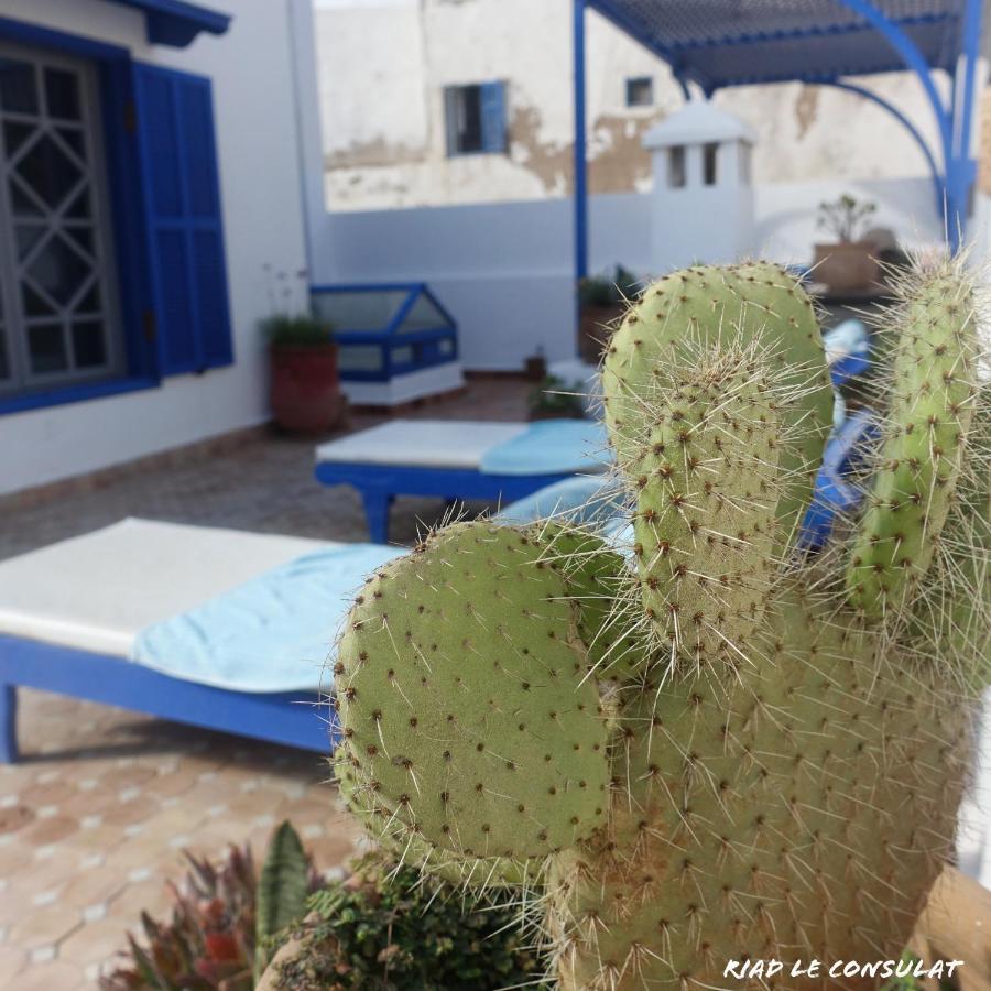 Riad Le Consulat - Private Riad For Family & Group, Breakfast Included 索维拉 外观 照片